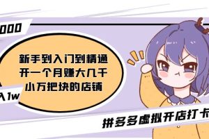 拼多多虚拟开店打卡群：入门到精通（昨日群里有小伙伴日入3000+）2月26更新