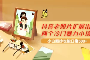 抖音老照片扩展出的两个冷门暴力小项目，小白照抄也能日撸500+