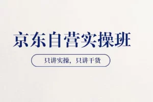 【京东自营实操班】只讲实操，只讲干货（28小时课程-共2期）价值4980