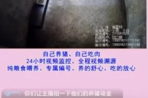 三农赛道零成本入门玩法拆解！