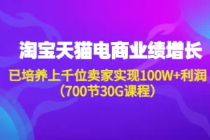 淘系天猫电商业绩增长：已培养上千位卖家实现100W+利润（700节30G课程）