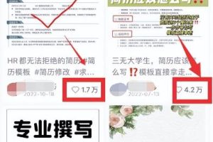 虚拟服务类项目，操作简单，日赚500+！