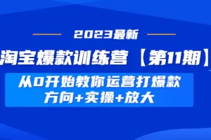 淘宝爆款训练营【第11期】 从0开始教你运营打爆款，方向+实操+放大