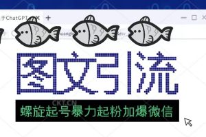 2023年价值1980的图文引流创业粉螺旋起好技术暴力起粉加爆微信