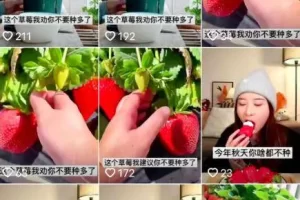 做个抖音垂直号，提升赚钱能力的诀窍！