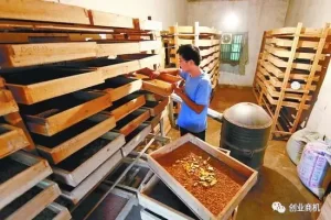 农村暴利小生意，50岁中年人可干，轻轻松松收入20万！