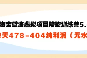 黄岛主：淘宝蓝海虚拟项目陪跑训练营5.0：单天478纯利润（无水印）