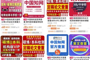刚需市场“论文查重”副业思路，掌握方法轻松月入过万