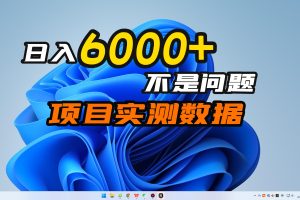 闷声发大财：[实测] 日入6000+不是梦，麦田实测项目，请看数据