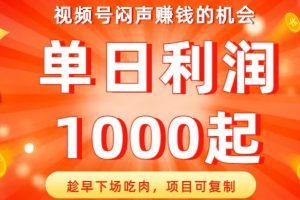 视频号闷声赚钱的机会，趁早下场吃肉，项目可复制，单日利润1000起