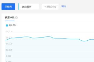 能带给你管道收益的建站项目！