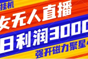 快手挂机，美女无人直播，强开磁力聚星小铃铛，日入3000+