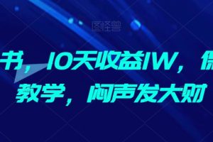 AI抄书，10天收益1W，保姆及教学，闷声发大财