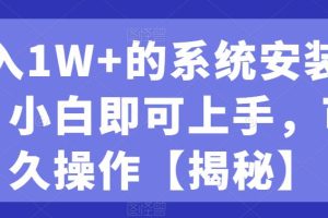月入1W+的系统安装赛道、小白即可上手，可永久操作