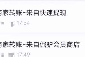 零撸游戏广告项目，单机日入20-40，还能批量操作！