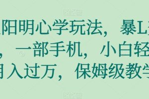 王阳明心学玩法，暴L变现，一部手机，小白轻松月入过万，保姆级教学