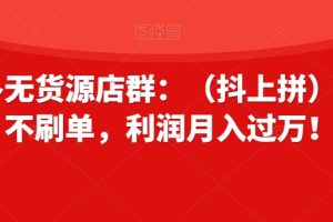 拼多多无货源店群：（抖上拼）不推广不刷单，利润月入过万！