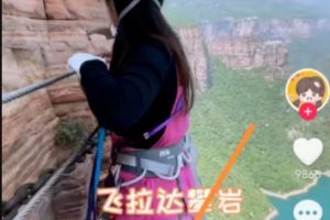 适合小白操作的景区推荐玩法！