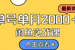 闲鱼虚拟资料新模式，月入2w＋，可批量复制，单号一天50-60没问题 多号多撸