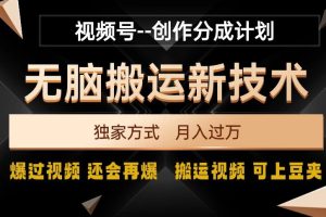 视频号无脑搬运新技术，破原创壕流量，独家方式，爆过视频，还会再爆