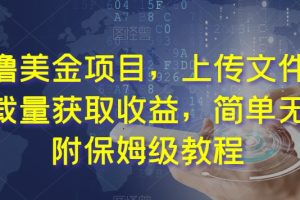 最新撸美金项目，上传文件，通过下载量获取收益，简单无脑，附保姆级教程
