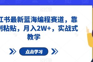 小红书最新蓝海编程赛道，靠复制粘贴，月入2W+，实战式教学