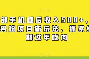一部手机睡后收入500+，11月男粉项目新玩法，抓紧红利期过年吃肉
