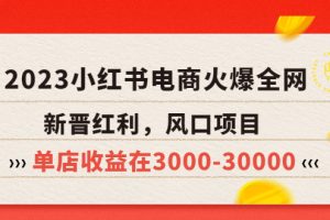 2023小红书电商火爆全网，新晋红利，风口项目，单店收益在3000-30000！