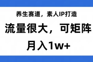 养生赛道，素人IP打造，流量很大，可矩阵，月入1w+