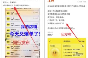 新手一天轻松搞个30-100，虚拟产品+导流私域变现，0门槛0难度，直接搬运即可！