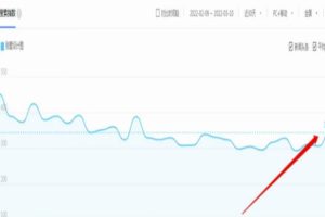 别墅图纸项目变现思路，后期无脑搬砖完全躺赚，玩法无私分享给你