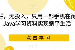 无门栏，无投入，只用一部手机在闲鱼卖Java学习资料实现躺平生活
