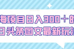 蓝海项目日入300＋的今日头条图文最新玩法
