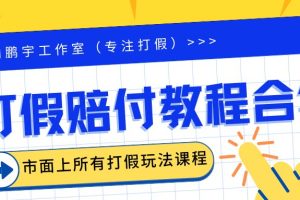 2023年全套打假合集，集合市面所有正规打假玩法（非正规打假的没有）