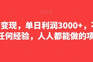 暴力变现，单日利润3000+，不需要任何经验，人人都能做的项目