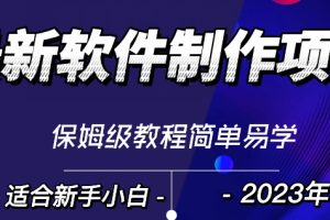 最新免费软件制作变现项目，1分钟做个软件，有人靠这个已经赚100W，保姆式教学
