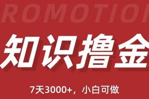 抖音知识撸金项目：简单粗暴日入1000+执行力强当天见收益(教程+资料)