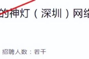 技术教程赚钱术，长期稳定正规，新手小白，也能月入10000+
