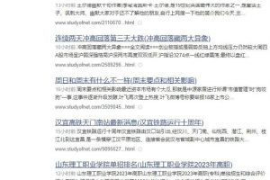 SEO养日收网站的一些经验分享（非时效性文章）