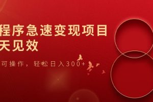 小程序急速变现项目，当天见效，小白可操作，轻松日入300+
