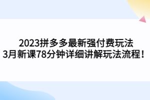 2023拼多多最新强付费玩法，3月新课；78分钟详细讲解玩法流程！