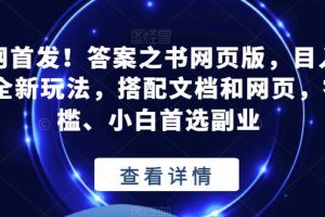 全网首发！答案之书网页版，目入2K，全新玩法，搭配文档和网页，零门槛、小白首选副业