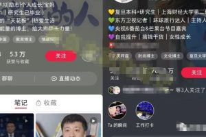 小红书个人IP模板+发布最佳时间，轻松打造高质量账号，玩法无私分享给你