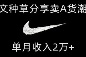 靠图文种草分享卖A货潮鞋，每天一小时，单月收入2万+