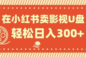 在小红书上卖影视U盘，轻松日入300+，操作简单，小白可轻松上手
