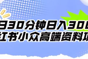 每日30分钟日入300＋小红书小众高端资料项目