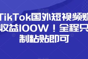搬运TikTok国外短视频赚钱，一年收益100W！全程只需复制粘贴即可