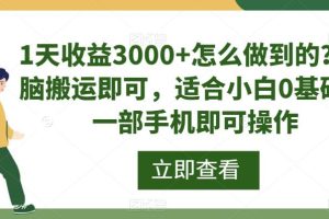 1天收益3000+怎么做到的？无脑搬运即可，适合小白0基础，一部手机即可操作