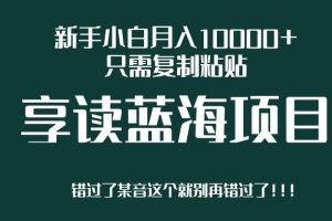 新手小白月入10000+，只需复制粘贴，享读蓝海项目，目前处于平台上升期