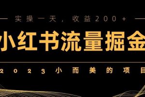2023小而美的项目，小红书流量掘金，实操一天，收益200+